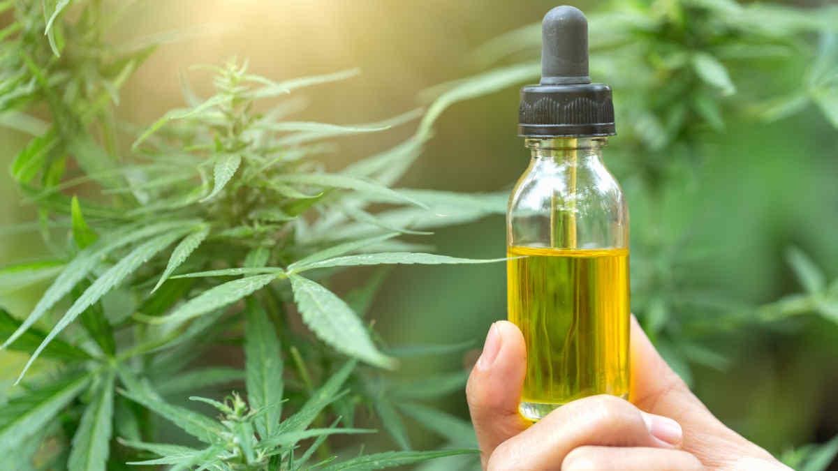 How To Choose The Best Tetrahydrocannabinol Oil